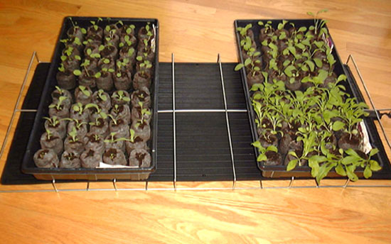 Plak opnieuw twee weken Seraph Plant and Seed Warming Mat - Gentle Heat for your Plants.