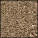 Dusty Taupe